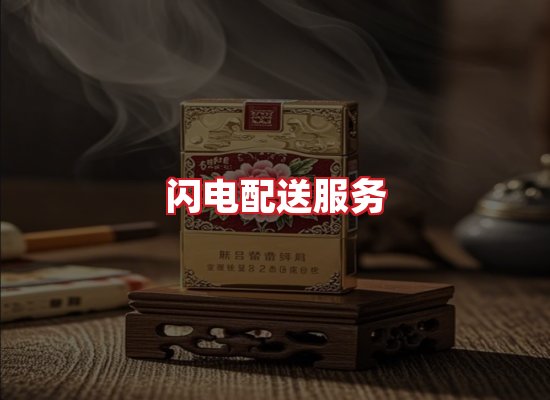 专业团队